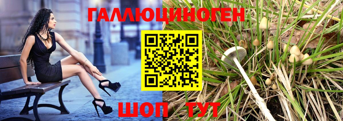 Галлюциногенные грибы Magic Shrooms Кирово-Чепецк