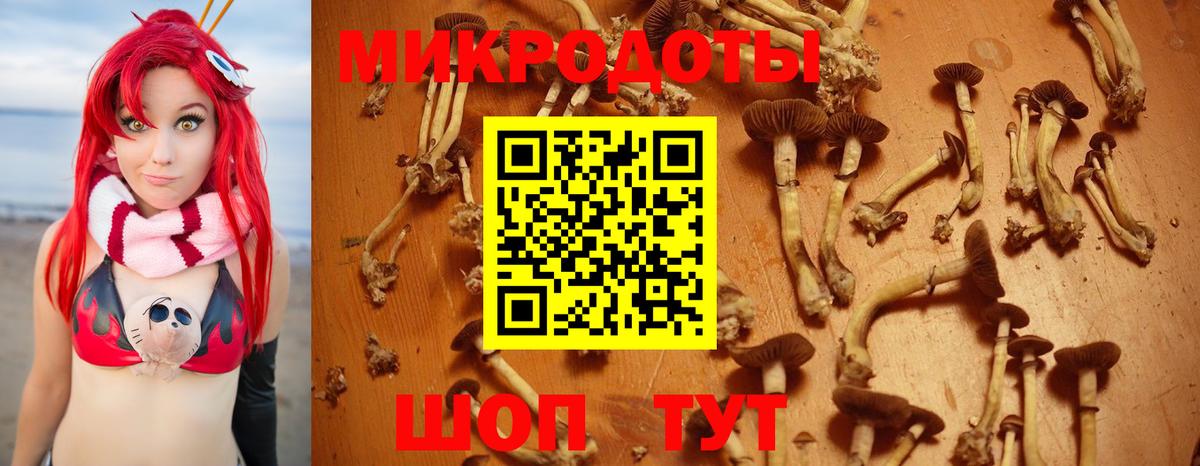 Кирово-Чепецк  Галлюциногенные грибы ЛСД  где можно купить   Галлюциногенные грибы ЛСД  Вход с VPN 